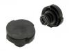 Bouchon de radiateur Radiator Cap:17 11 1 742 231