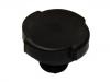 Bouchon de radiateur Radiator Cap:17 11 1 742 321