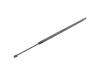 Gasdruckfeder Gas Spring:8731.P5