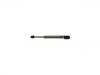 Gasdruckfeder Gas Spring:3B5 827 550 E