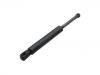 Gasdruckfeder Gas Spring, Bonnet:163 880 00 29