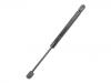 Gas Spring:84430-2F000