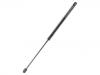 Gasdruckfeder Gas Spring:24 411 022