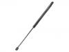 Gasdruckfeder Gas Spring:13 128 759