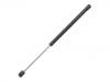 Amortiguador de gas Gas Spring:01 76 605