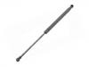 Gasdruckfeder Gas Spring:51 76 765