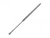 Gasdruckfeder Gas Spring:74870-SWA-A01